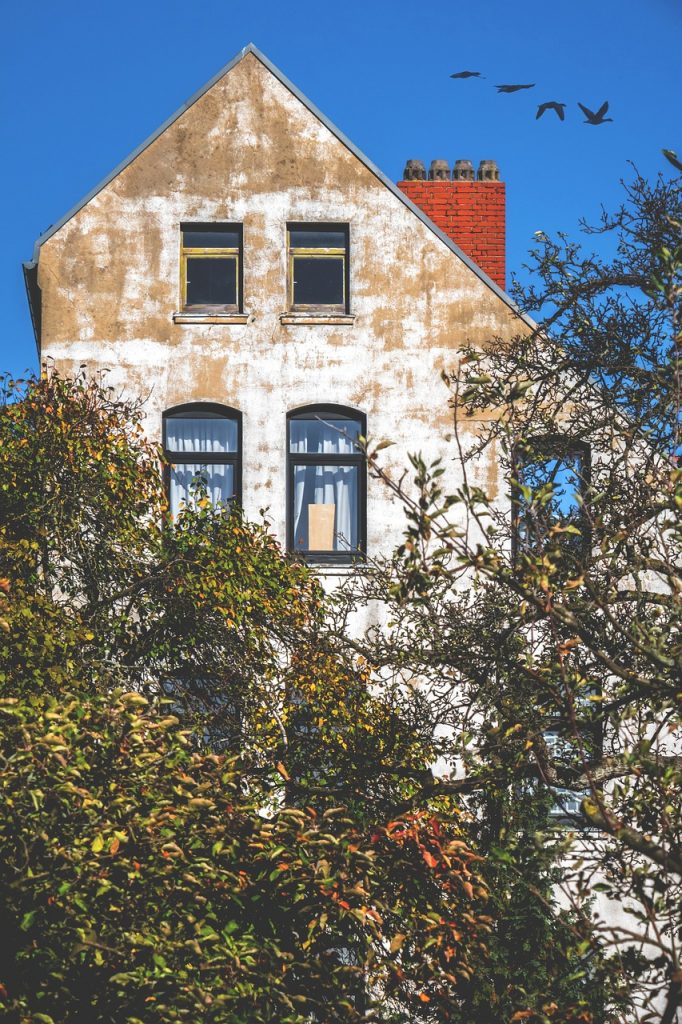 g1603d5171bbbbb4ffb3880d395f22b26bcba7d2dc7001f2b479b3e4689256762d88debb39fc98c562f0361307610f65c3f6ee96d797614a298d1dc648947b0a8_1280-3852021 g1603d5171bbbbb4ffb3880d395f22b26bcba7d2dc7001f2b479b3e4689256762d88debb39fc98c562f0361307610f65c3f6ee96d797614a298d1dc648947b0a8_1280-3852021.jpg